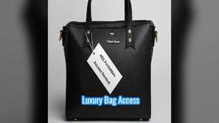 Estilo e acesso à bolsa Louis Vuitton pré-amada