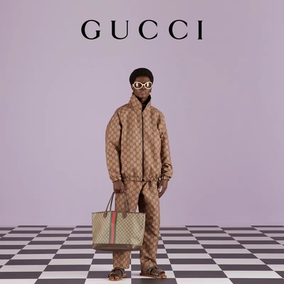 Saco do Brown Gucci Ophidia das mulheres marcadas meio pequeno grande Tote Ebony