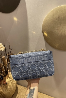 Sarja de Nimes bordada de Mini Designer Purses Dior Caro pequena